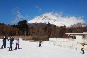 From Tokyo: Fuji Mountain Skiing and Hot Spring Day Trip