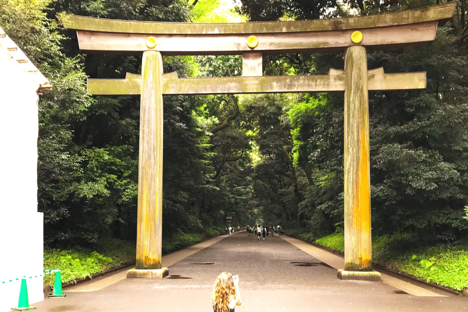 Токио: полный тур: посетите 10 обязательных достопримечательностей и скрытые жемчужины