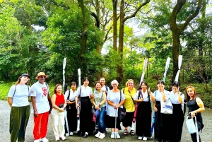 Токио: полный тур: посетите 10 обязательных достопримечательностей и скрытые жемчужины