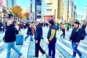 Токио: полный тур: посетите 10 обязательных достопримечательностей и скрытые жемчужины