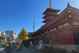 Tokio: Kokopäiväretki ja teekokemus, buffetlounas ja risteily.