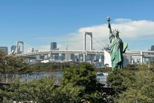 Tokio: Kokopäiväretki ja teekokemus, buffetlounas ja risteily.