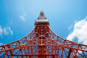 Tokio: Kokopäiväretki ja teekokemus, buffetlounas ja risteily.