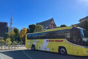 Tokio: Kokopäiväretki ja teekokemus, buffetlounas ja risteily.