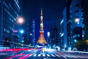 Tokyo: Customizable Day Trip Within Tokyo & English-Driver