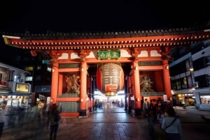 Tokyo: Customizable Day Trip Within Tokyo & English-Driver