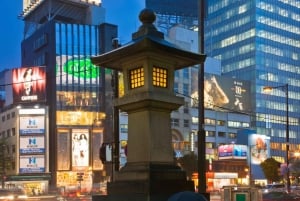 Tokyo: Customizable Day Trip Within Tokyo & English-Driver