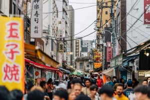 Tokyo: Customizable Day Trip Within Tokyo & English-Driver