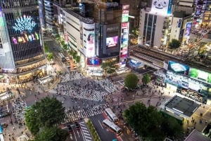 Tokyo: Customizable Day Trip Within Tokyo & English-Driver