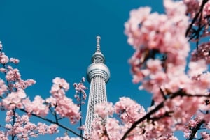 Tokyo: Customizable Day Trip Within Tokyo & English-Driver