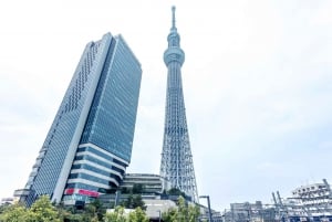 Tokyo: Customizable Day Trip Within Tokyo & English-Driver