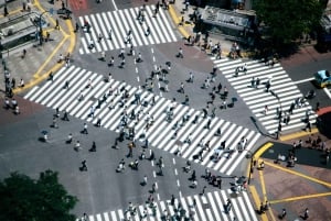 Tokyo: Customizable Day Trip Within Tokyo & English-Driver