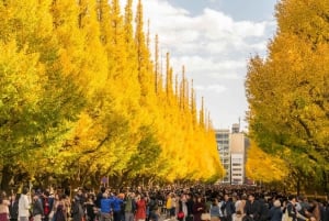 Tokyo: Customizable Day Trip Within Tokyo & English-Driver