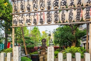 Tokyo: Customizable Day Trip Within Tokyo & English-Driver