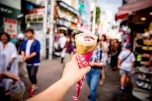 Tokyo: Customizable Day Trip Within Tokyo & English-Driver
