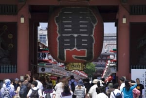 Tokyo: Customizable Day Trip Within Tokyo & English-Driver