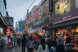 Tokyo: Customizable Day Trip Within Tokyo & English-Driver