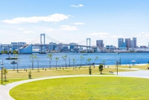 Tokyo: Customizable Day Trip Within Tokyo & English-Driver