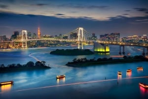 Tokyo: Customizable Day Trip Within Tokyo & English-Driver