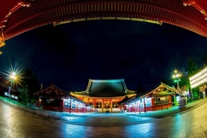 Tokyo: Customizable Day Trip Within Tokyo & English-Driver