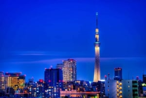 Tokyo: Customizable Day Trip Within Tokyo & English-Driver