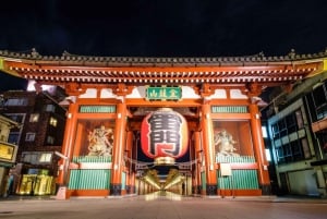 Tokyo: Customizable Day Trip Within Tokyo & English-Driver
