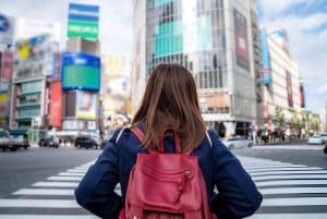 Tokyo: Customizable Day Trip Within Tokyo & English-Driver