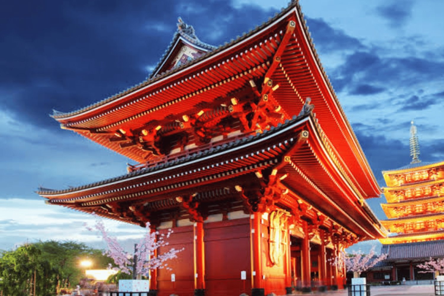 Tokyo Full day Private Customized Tour with English Driver