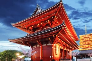 Excursão particular personalizada de 1 dia a Tóquio com motorista inglês