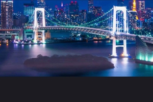 Tokyo Tour de día completo Privado Personalizado con Conductor Inglés