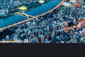 Tokyo Tour de día completo Privado Personalizado con Conductor Inglés