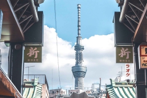 Tokyo Tour de día completo Privado Personalizado con Conductor Inglés