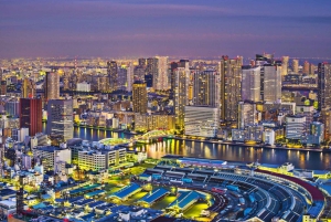 Tokyo Tour de día completo Privado Personalizado con Conductor Inglés