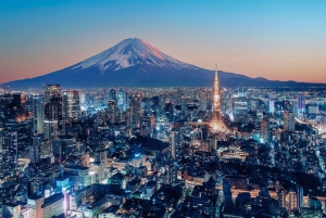 Tokyo Tour de día completo Privado Personalizado con Conductor Inglés