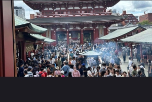 Tokyo Tour de día completo Privado Personalizado con Conductor Inglés