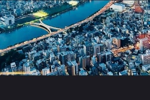 Excursão particular personalizada de 1 dia a Tóquio com motorista inglês