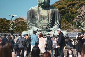 Tokyo: Full-day Private Kamakura and Enoshima Tour w/ Driver