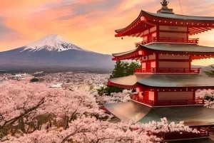 Tokyo: Monte Fuji Tour privato di un giorno intero con visita guidata