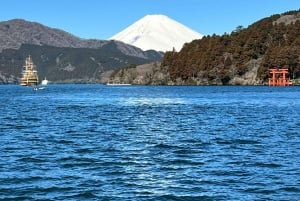 Tokyo: Monte Fuji Tour privato di un giorno intero con visita guidata
