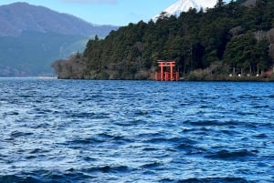 Tokyo: Monte Fuji Tour privato di un giorno intero con visita guidata