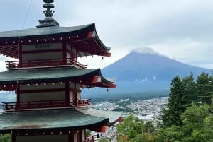 Tokyo: Monte Fuji Tour privato di un giorno intero con visita guidata