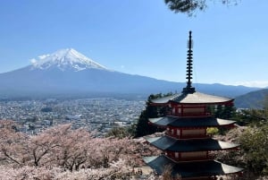 Tokyo: Monte Fuji Tour privato di un giorno intero con visita guidata