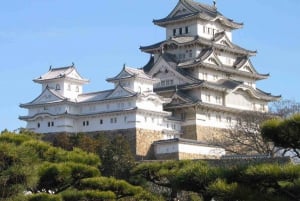 Tokyo: Private Full day Guided Tour with an English Driver