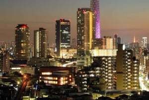 Tokyo: Private Full day Guided Tour with an English Driver