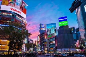 Tokyo: Private Full day Guided Tour with an English Driver