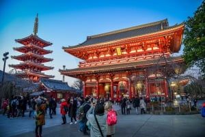 Tokyo: Private Full day Guided Tour with an English Driver