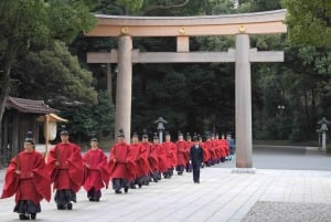 Tokyo: Private Full day Guided Tour with an English Driver