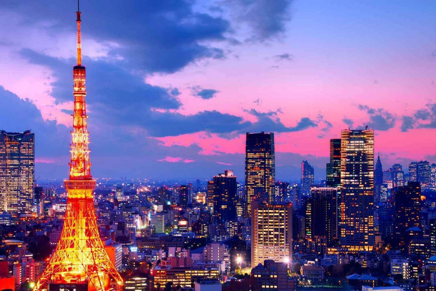 Von Tokio: Ganztägige private Stadtführung durch Tokio