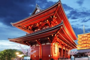 Excursão particular personalizada de 1 dia a Tóquio com motorista inglês