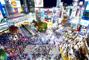 From Tokyo: Tokyo Private Customize Tour With English Driver